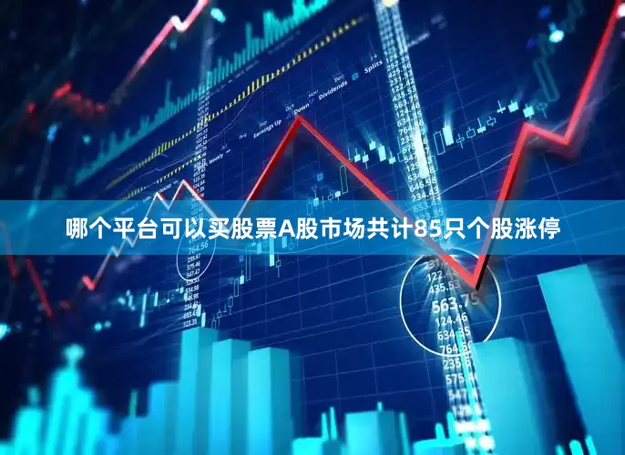 哪个平台可以买股票A股市场共计85只个股涨停