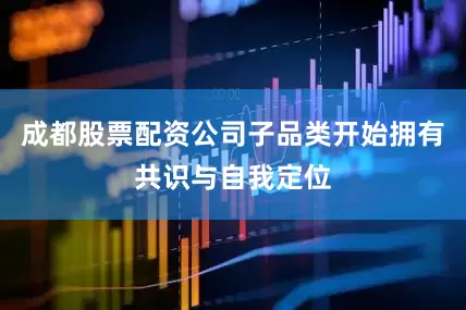 成都股票配资公司子品类开始拥有共识与自我定位