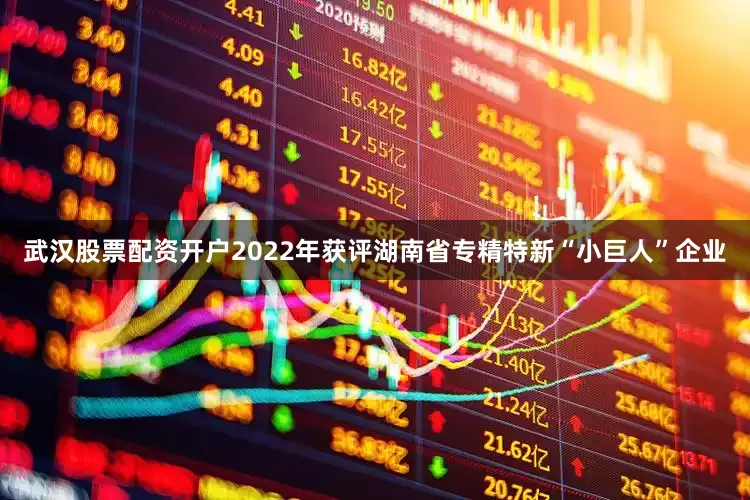 武汉股票配资开户2022年获评湖南省专精特新“小巨人”企业