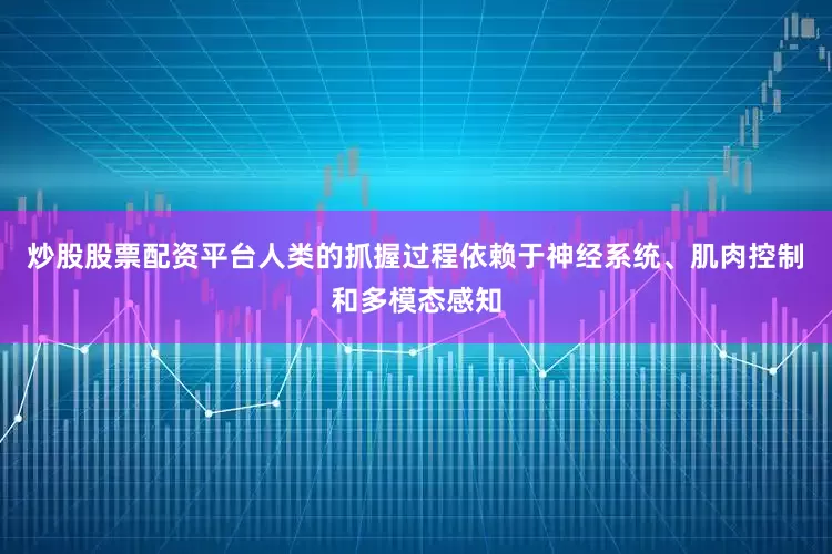 炒股股票配资平台人类的抓握过程依赖于神经系统、肌肉控制和多模态感知